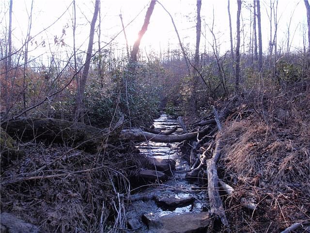 2nd image of 0 Jernigan Rd