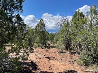 232 Rawhide Rd, Durango, CO 81303