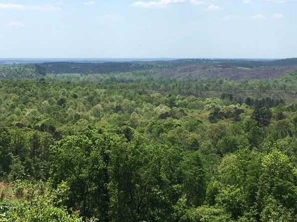 Frances Fir Rd Lot 45, Broken Bow, OK 74728