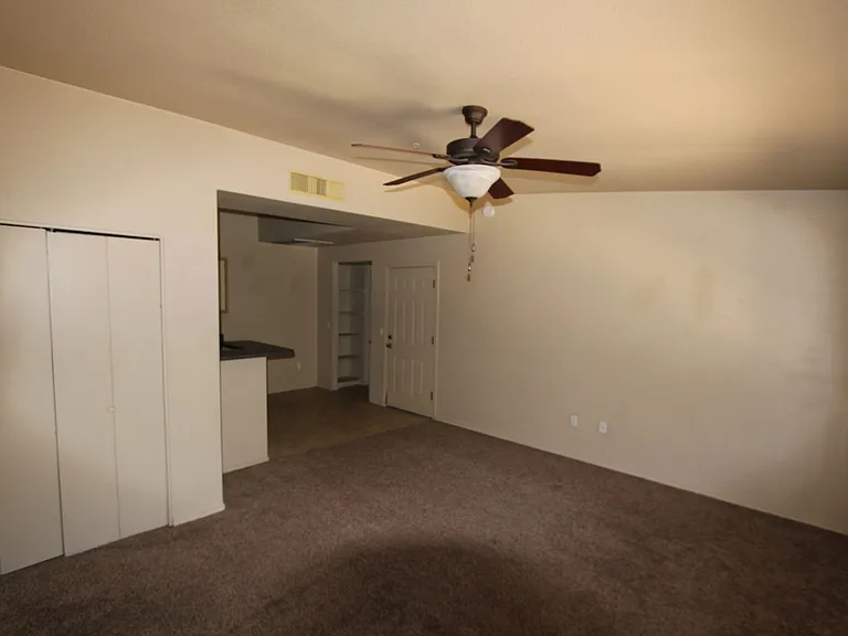 1185 W University Ave #19-259 — Photo 8