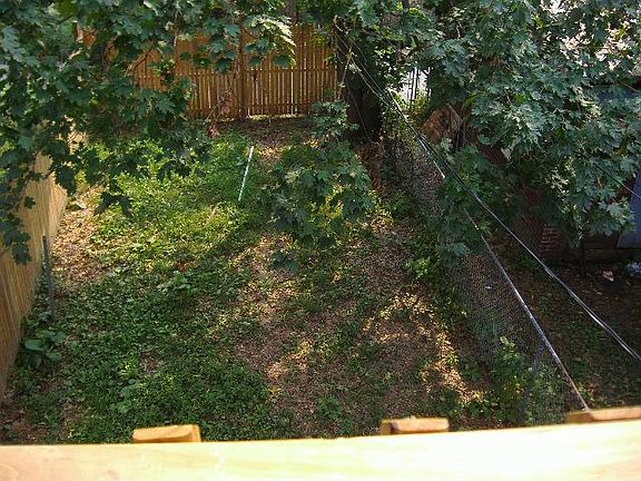 Backyard