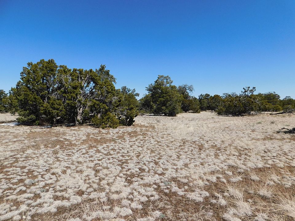 1st image of 26 Spring Canyon Cir