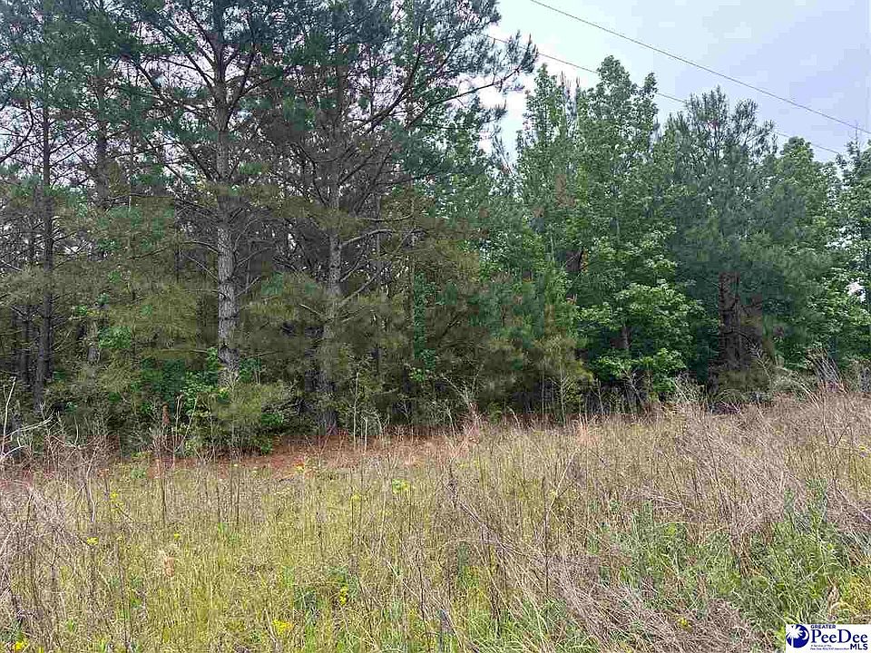 1st image of TRACT 4 Patrick Hwy