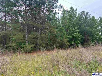 TRACT 4 Patrick Hwy, Hartsville, SC, 29550