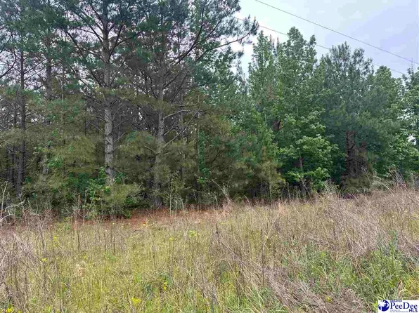 TRACT 4 Patrick Hwy, Hartsville, SC 29550