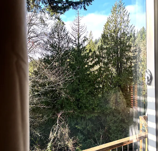 3609 SW 38th Ave #B — Photo 14
