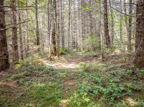 101 Wild Blackberry Lane, Port Angeles, WA 98363