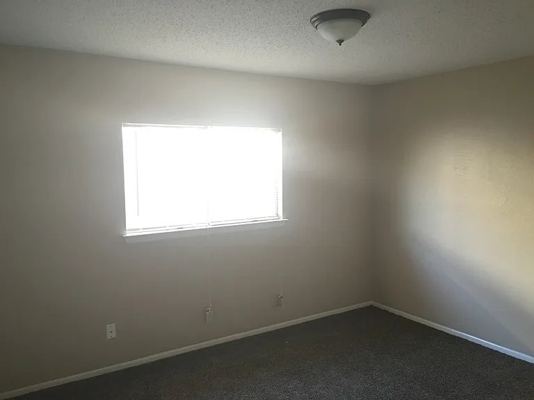 8251 Sunshine Trail Dr — Photo 6