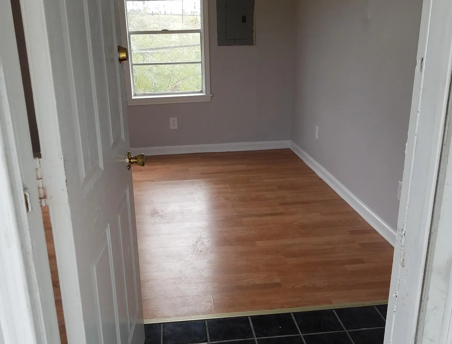 1 bed, $800 — Photo 2