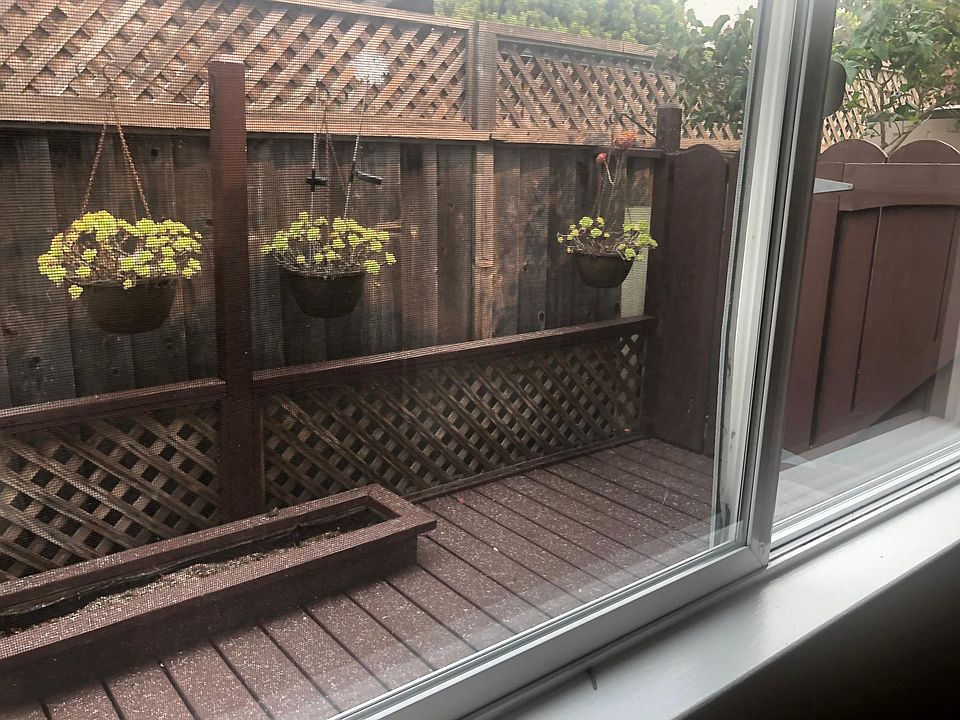 2nd image of 508 Swift St