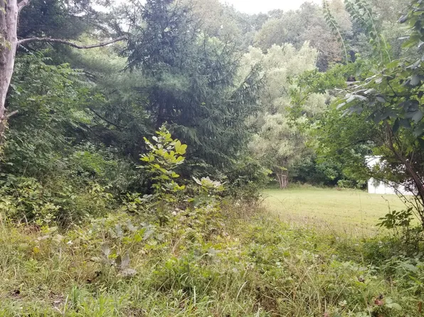 6376 Gura Circle Rd, Athens, OH 45701