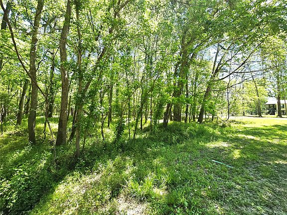 3rd image of County Road 2167c
