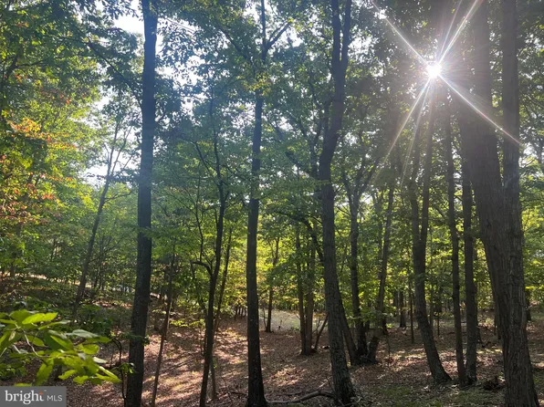 Glen Echo Farm Rd, Springfield, WV 26763