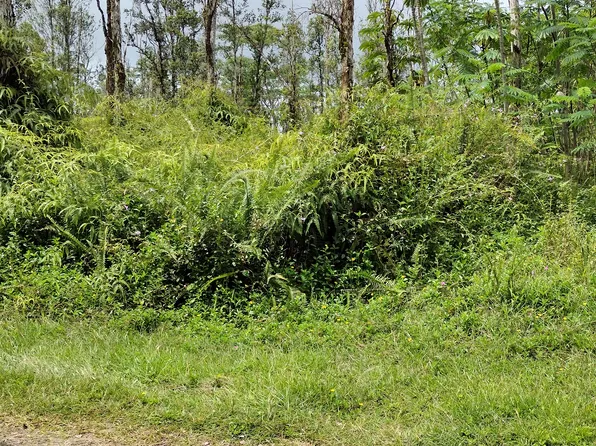 Shell Rd Lot 733, Pahoa, HI 96778