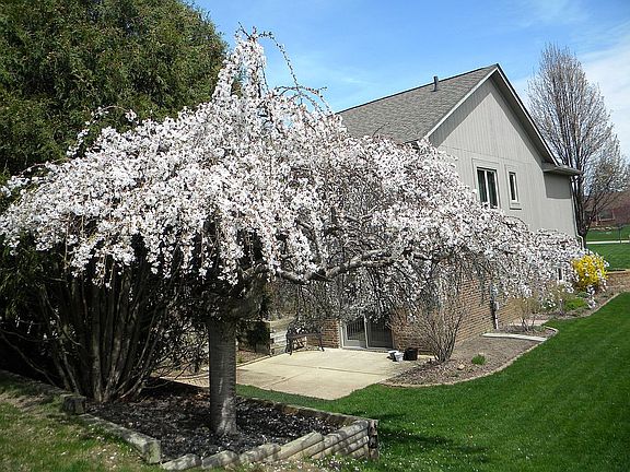 2nd image of 144 Laredo Ct