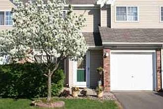 Your front yard - Tree in your that flowers in the spring provides plenty of privacy next to a hedge and patio wall.