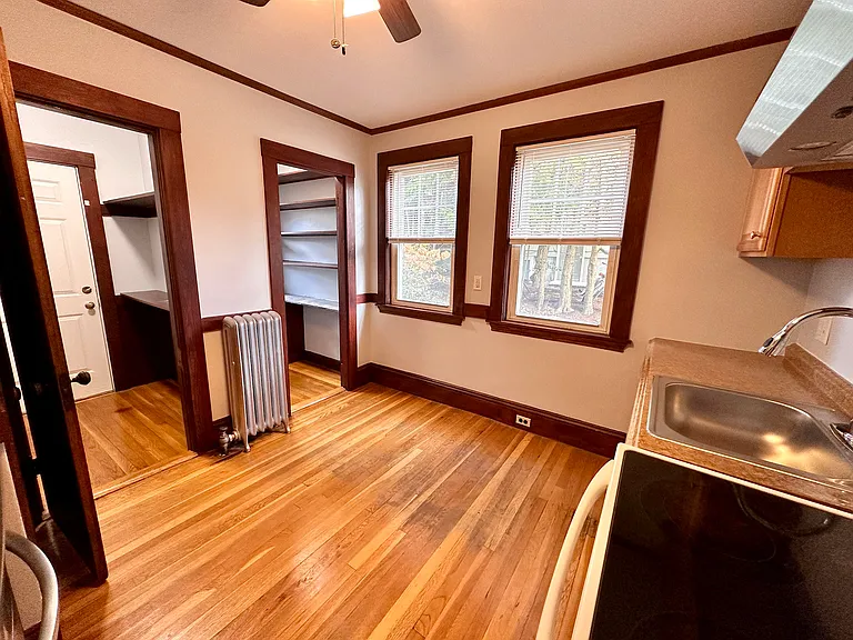 Kitchen, back door hall, pantry, windows to garden