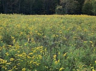 Dietz Rd, Callicoon center, NY 12724