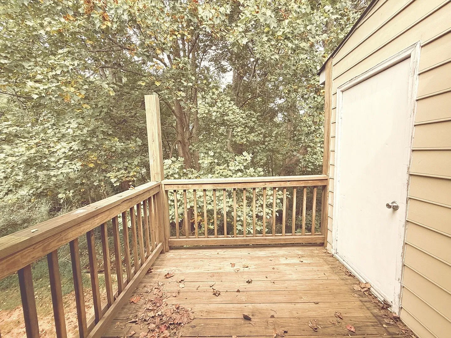 308 Reece Ave — Photo 2