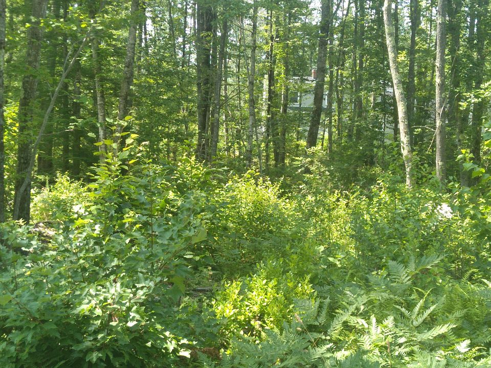 2nd image of Lot #1 Harry Howes Road