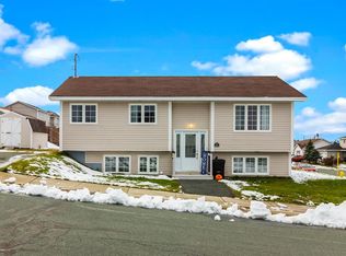 2 Sabre Street, St. John's, NL A1A6B7