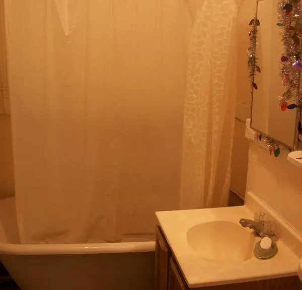 463 Park Dr #4 — Photo 5