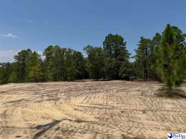 3 Patrick Hwy, Hartsville, SC 29550