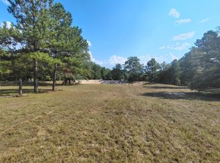 2452 Black Creek Church Rd, Pageland, SC 29728