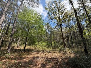 19-6-1 Dedication Trl Lot 19, Huntsville, TX 77340