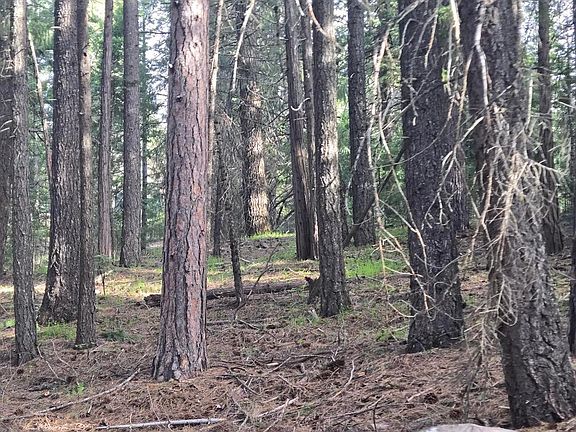 5th image of 2017 S Old Stage Rd
