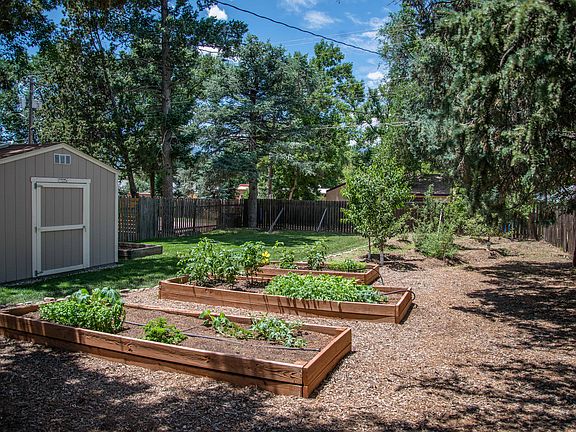 Shed, Garden, Fruit Trees