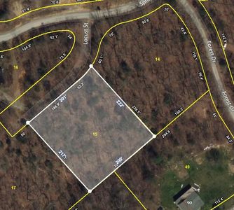 0 Locust St, Spring City, TN, 37381