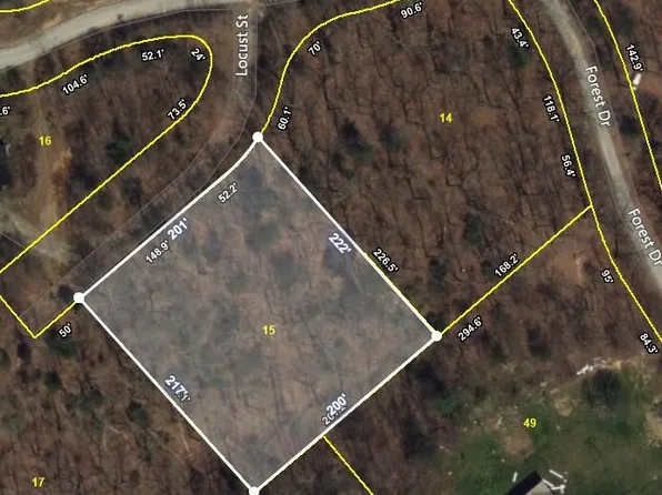 0 Locust St, Spring City, TN 37381