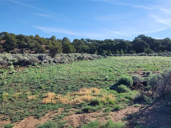 1702 Luke Road, Fort Garland, CO 81133