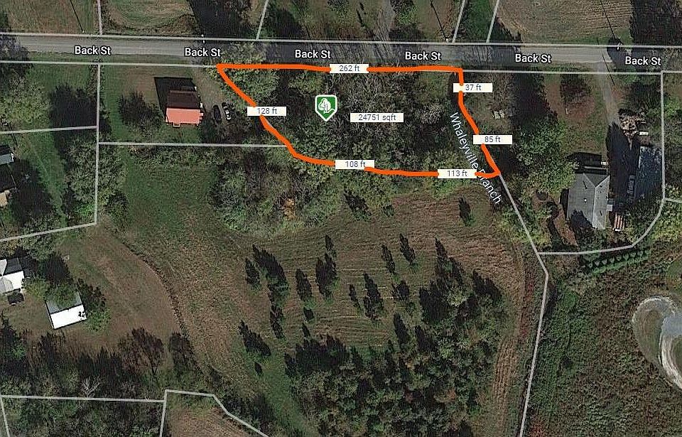 0 Back St, Whaleyville, MD 21872 Zillow