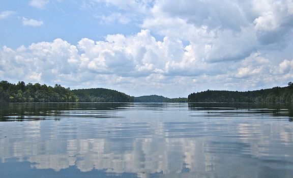 Ninety Mile Shoreline