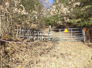 900 Pounds Rd, Little Genesee, NY 14754