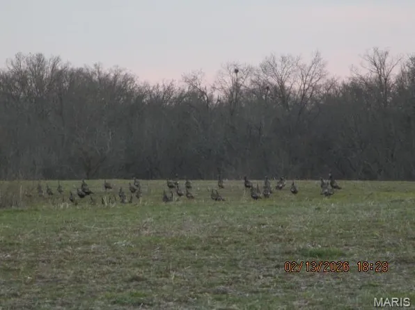 8 Pcr 910, Perryville, MO 63775