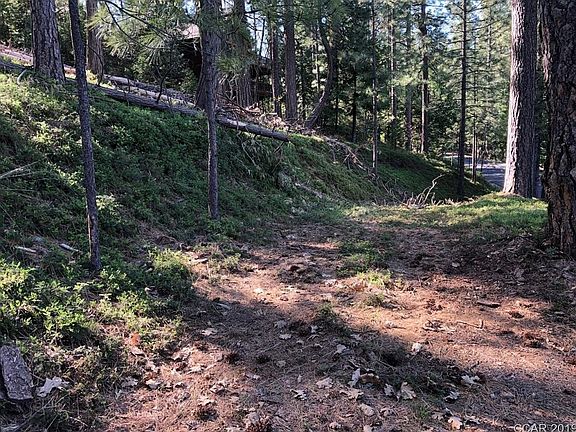 5th image of 2783 Placer Way
