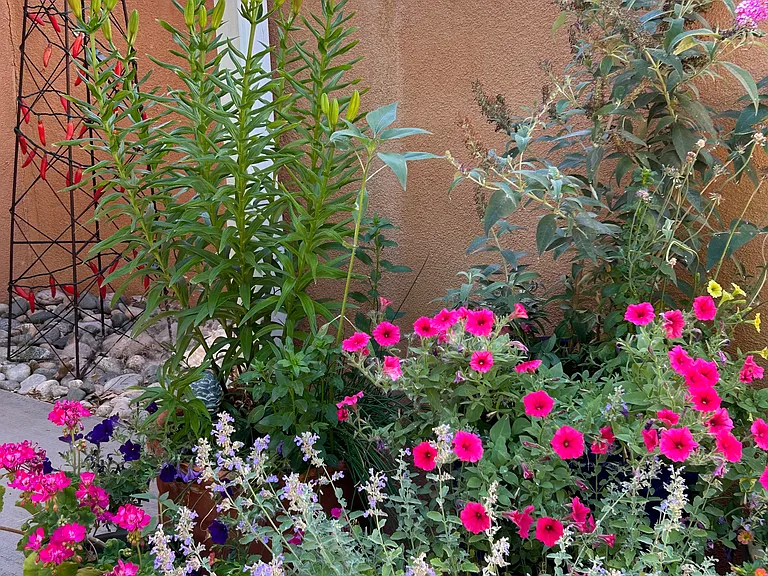 Additional view of Nambe Casita patio.