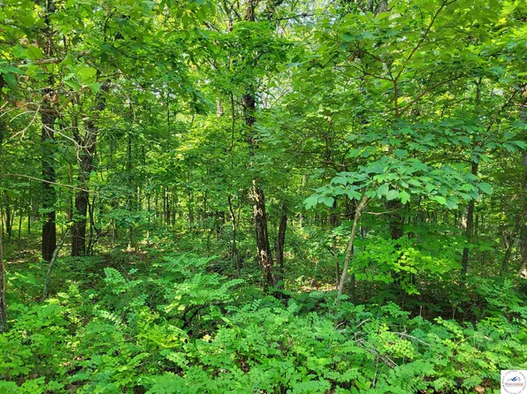 Kean Ln, Edwards, MO 65326