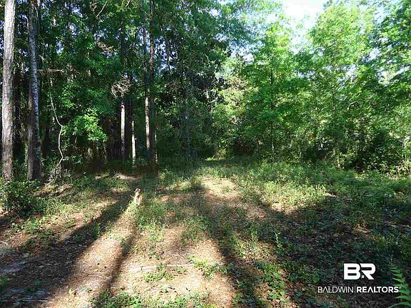 5th image of 0 Hammock Rd