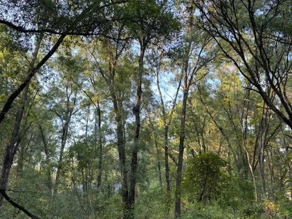 3123 E Kay Ln, Inverness, FL 34453