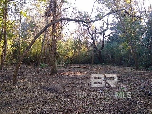 5th image of 0 Nichols Ave Lot 4