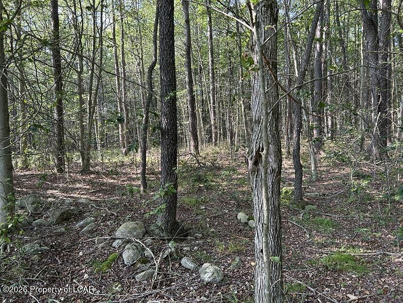 1st image of Bellasylva Rd