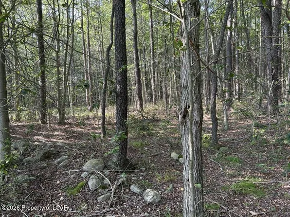 Bellasylva Rd, Dushore, PA 18614