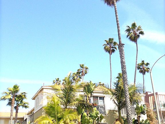 5th image of 2129 Ocean Ave