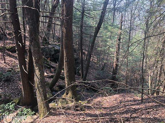 2nd image of 60 Jim Garrett Rd