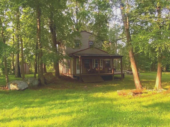 1074 White Pine Ln, Capon Bridge, WV 26711