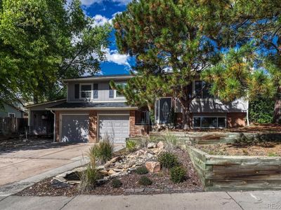 419 Johnson Drive, Castle Rock, CO, 80104